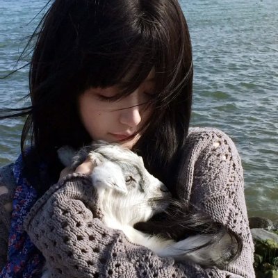 火线人生 海报